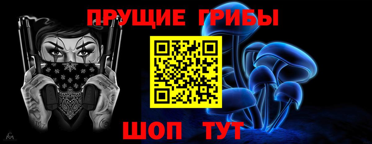Галлюциногенные грибы Psilocybine cubensis Сургут